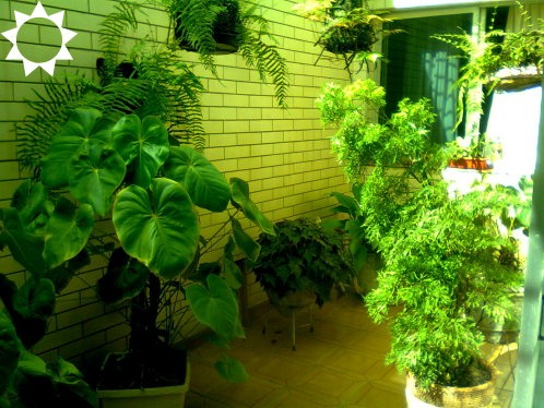 Casa, 3 quartos, 262 m² - Foto 10
