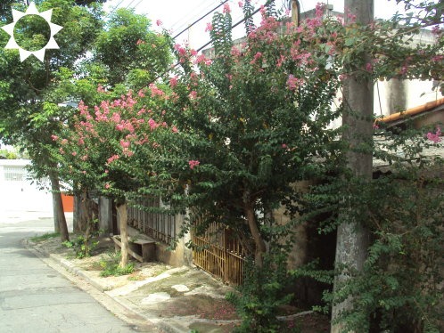 Terreno, 364 m² - Foto 9