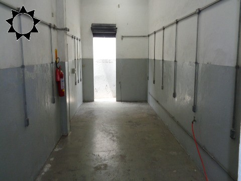Prédio Inteiro, 320 m² - Foto 13