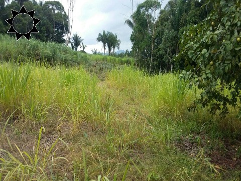 Fazenda, 106 m² - Foto 2