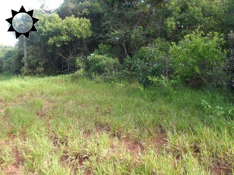 Terreno, 546 m² - Foto 6
