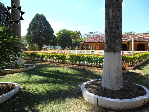 Sítio, 2 quartos, 819 m² - Foto 10