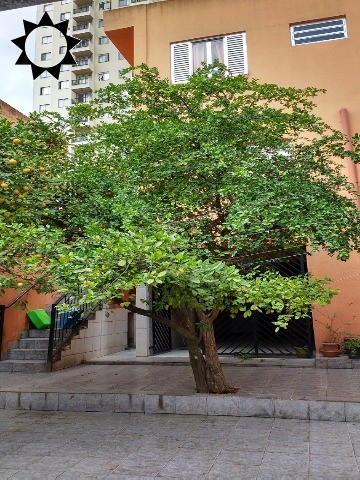 Casa, 3 quartos, 229 m² - Foto 10