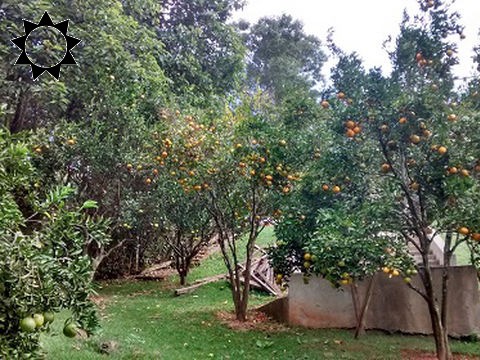 Casa, 6 quartos, 350 m² - Foto 19