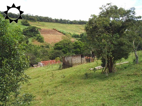 Sítio, 3 quartos, 200 m² - Foto 9
