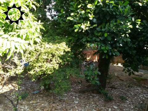 Loteamento e Condomínio, 400 m² - Foto 2
