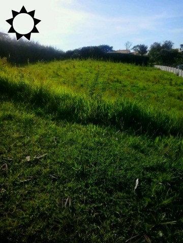 Terreno, 2001 m² - Foto 6