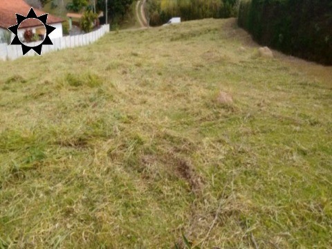 Terreno, 2001 m² - Foto 10