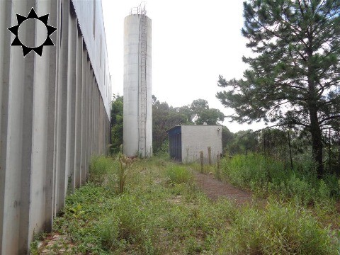 Depósito-Galpão, 10600 m² - Foto 19