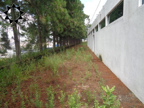 Depósito-Galpão, 10600 m² - Foto 21