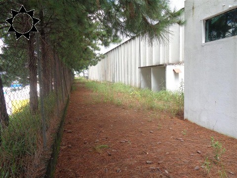 Depósito-Galpão, 10600 m² - Foto 24