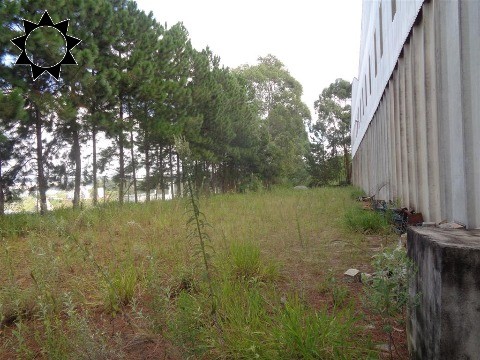 Depósito-Galpão, 10600 m² - Foto 25