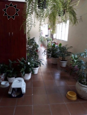 Casa, 5 quartos, 900 m² - Foto 11