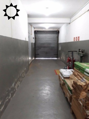 Casa, 5 quartos, 900 m² - Foto 15