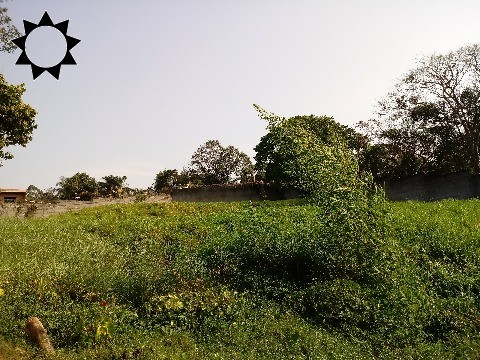 Terreno, 2326 m² - Foto 7