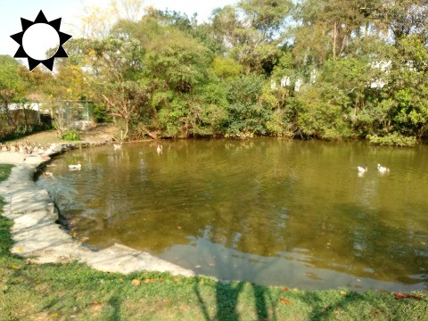 Terreno, 2326 m² - Foto 10