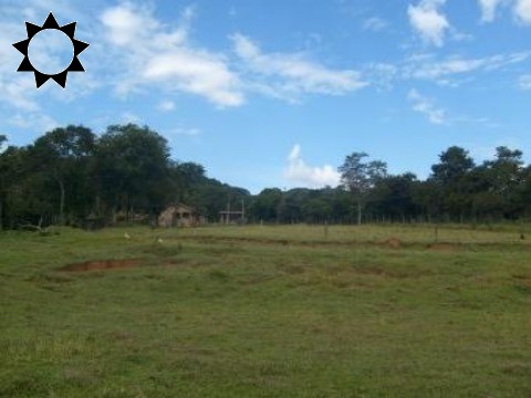 Terreno, 73 hectares - Foto 4