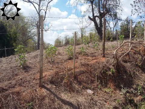 Terreno, 491 m² - Foto 8