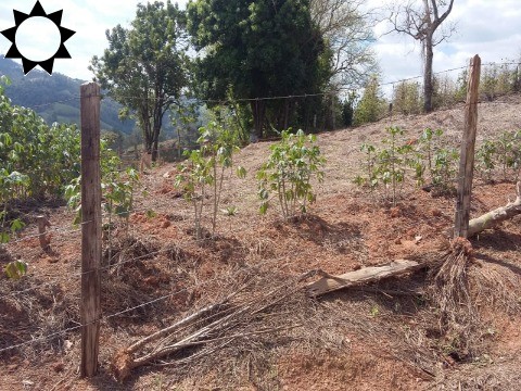 Terreno, 491 m² - Foto 14