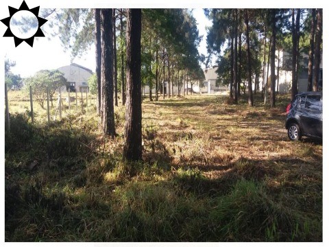 Depósito-Galpão, 9000 m² - Foto 31