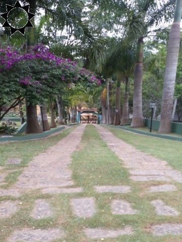 Sítio, 3 quartos, 5000 m² - Foto 3