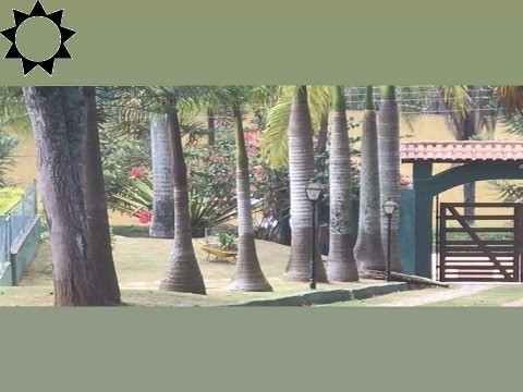 Sítio, 3 quartos, 5000 m² - Foto 17