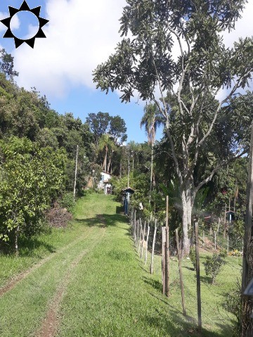 Sítio, 2 quartos, 3832 m² - Foto 1