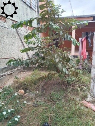 Casa, 5 quartos, 287 m² - Foto 32