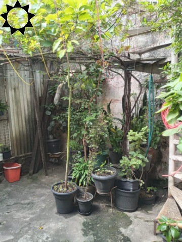 Casa, 5 quartos, 130 m² - Foto 15