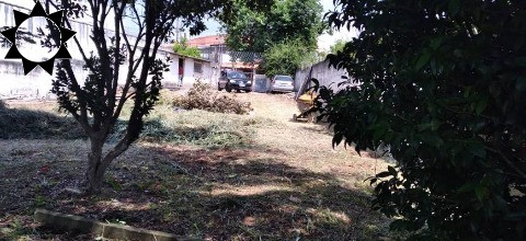 Terreno, 1033 m² - Foto 4