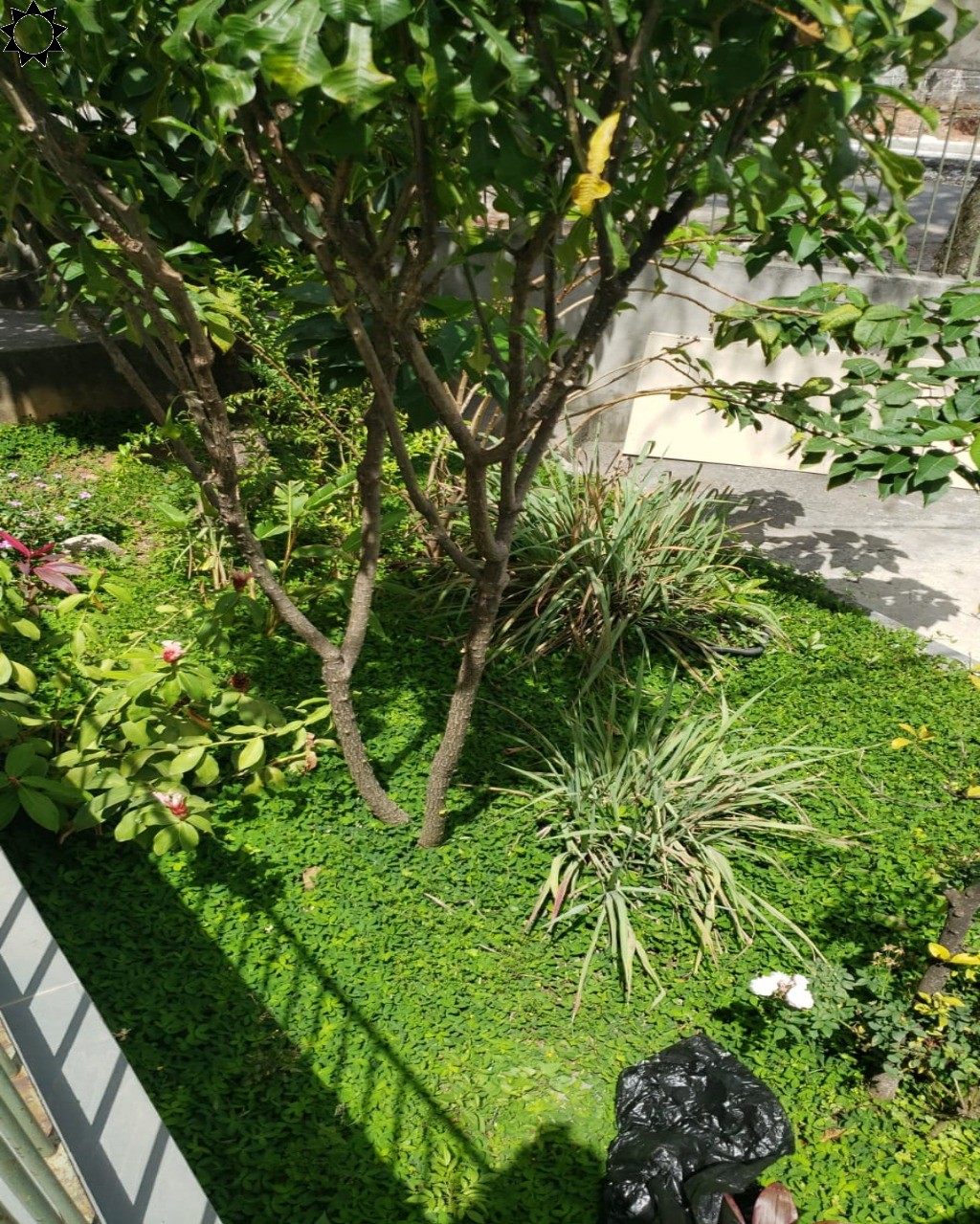 Apartamento, 2 quartos, 44 m² - Foto 18