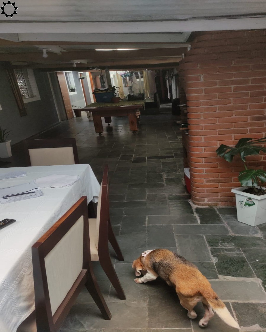 Casa, 8 quartos, 340 m² - Foto 1