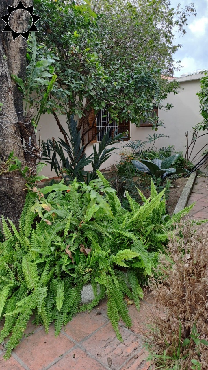 Casa, 3 quartos, 189 m² - Foto 12