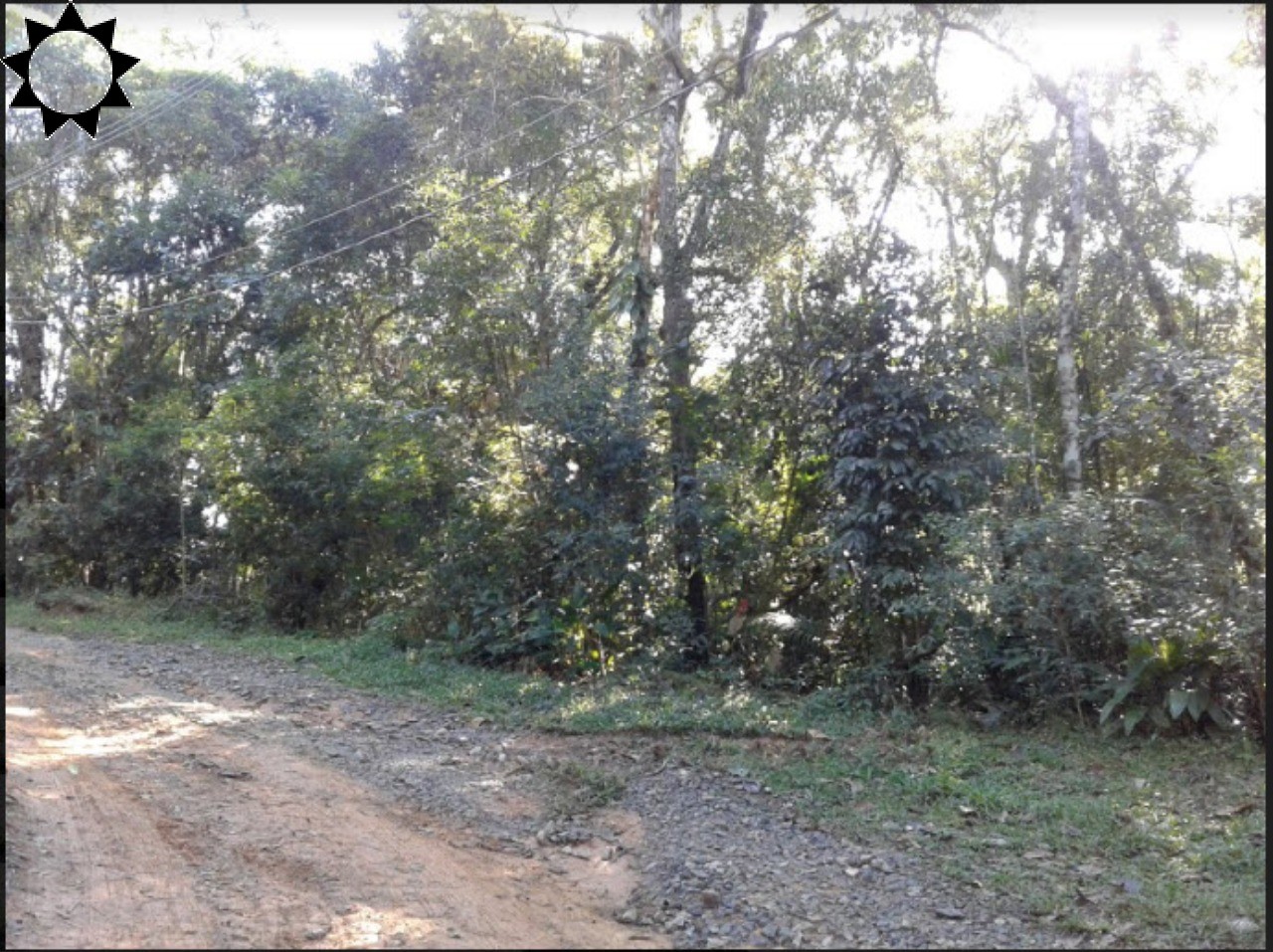 Sítio, 1 quarto, 4640 m² - Foto 1