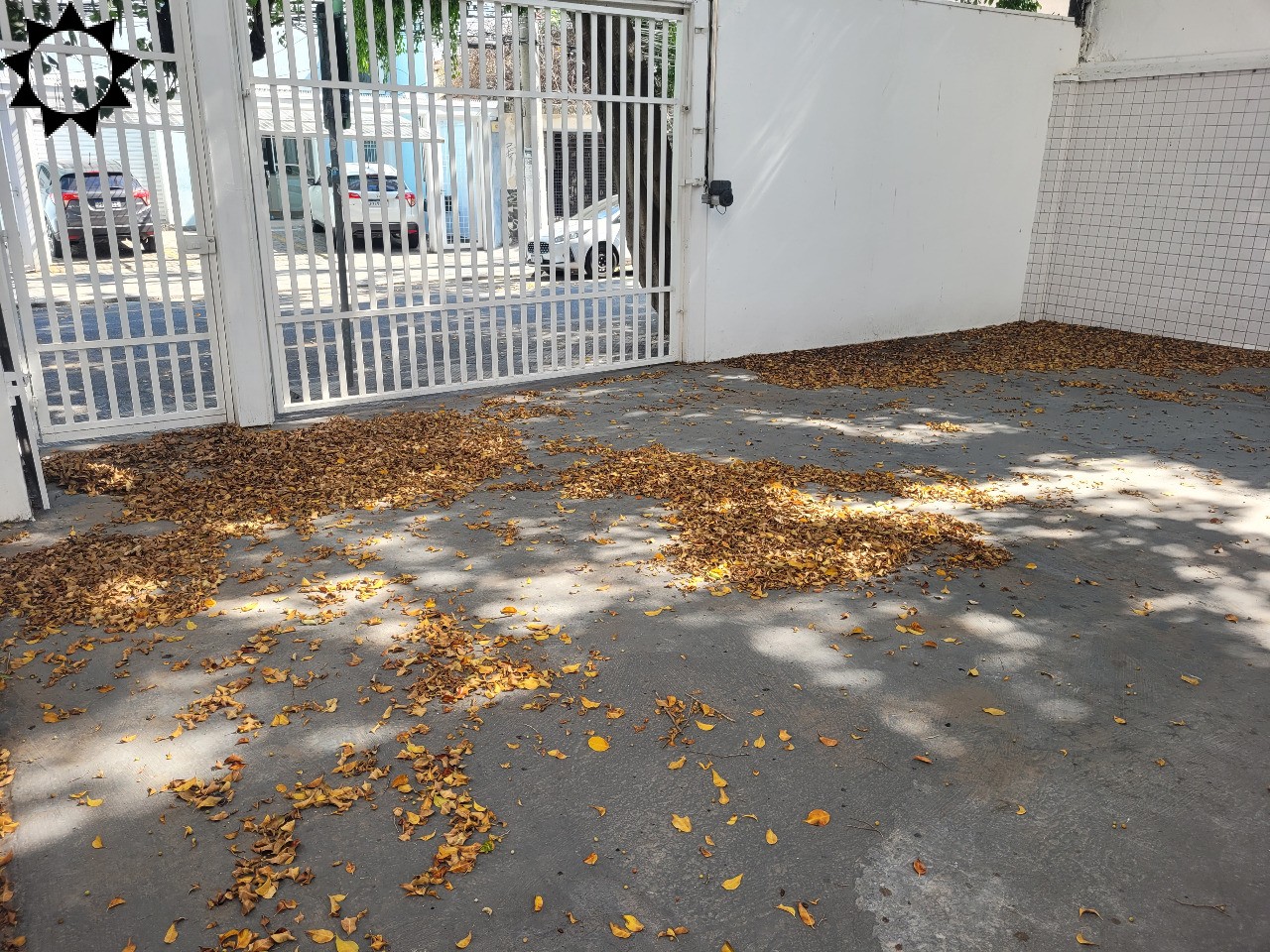 Prédio Inteiro, 320 m² - Foto 4