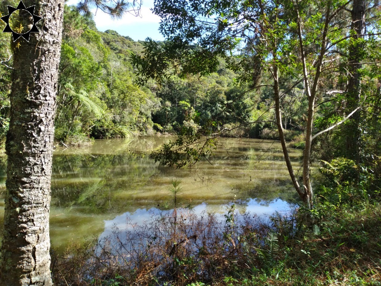 Fazenda, 4 hectares - Foto 1