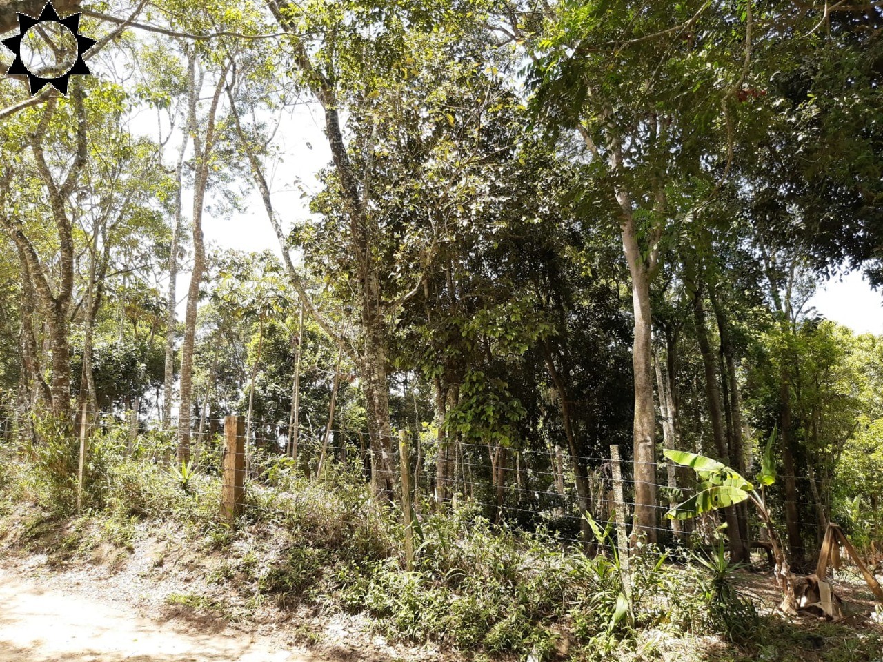 Terreno, 1 hectares - Foto 13