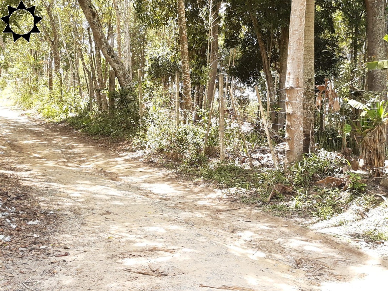 Terreno, 1 hectares - Foto 11