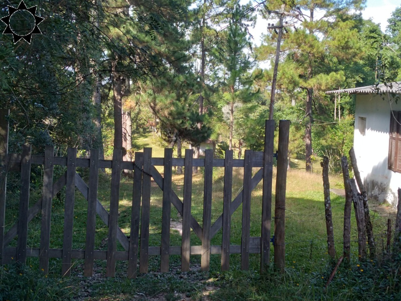 Fazenda, 4 hectares - Foto 8