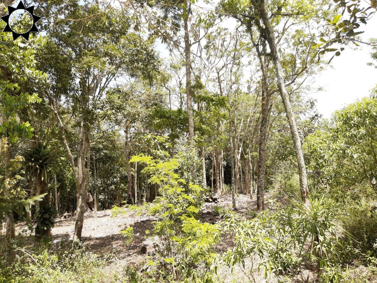 Terreno, 1 hectares - Foto 15