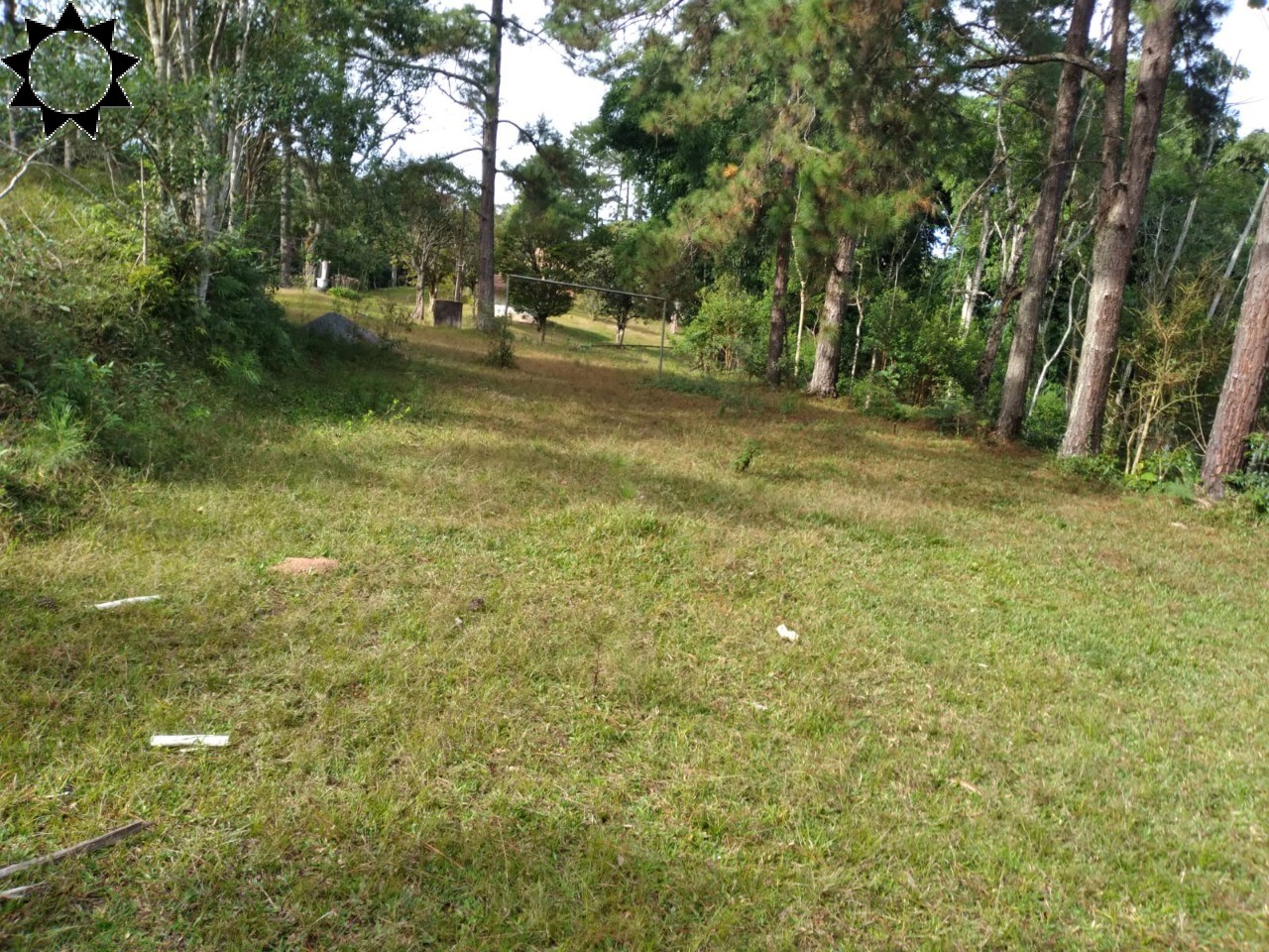 Fazenda, 4 hectares - Foto 6