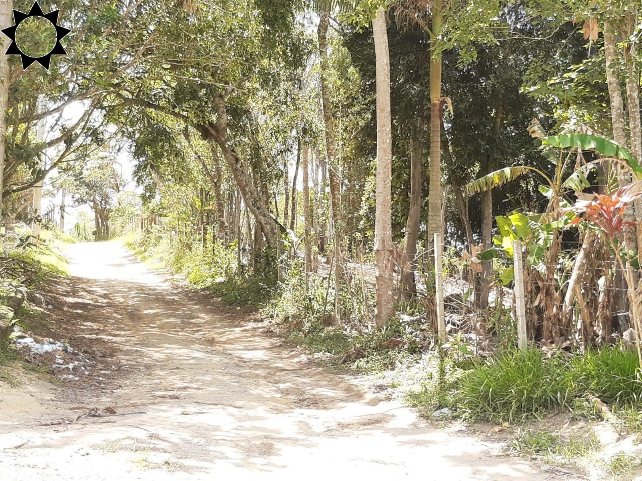 Terreno, 1 hectares - Foto 3