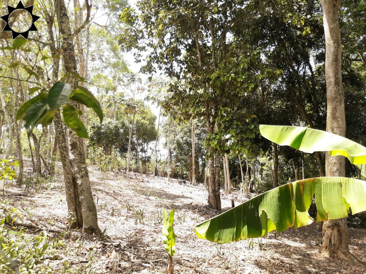 Terreno, 1 hectares - Foto 7