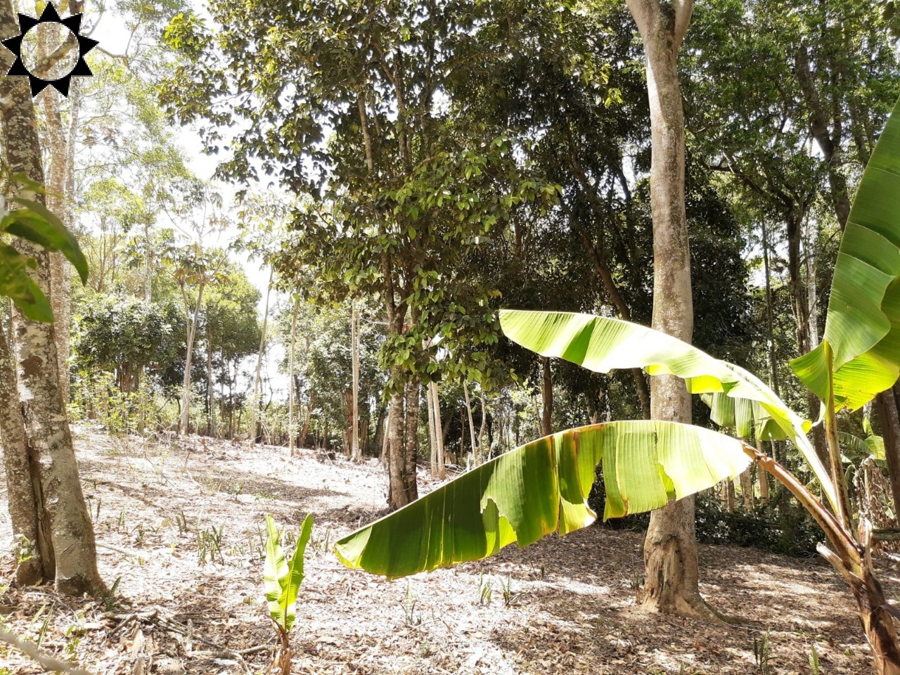 Terreno, 1 hectares - Foto 8