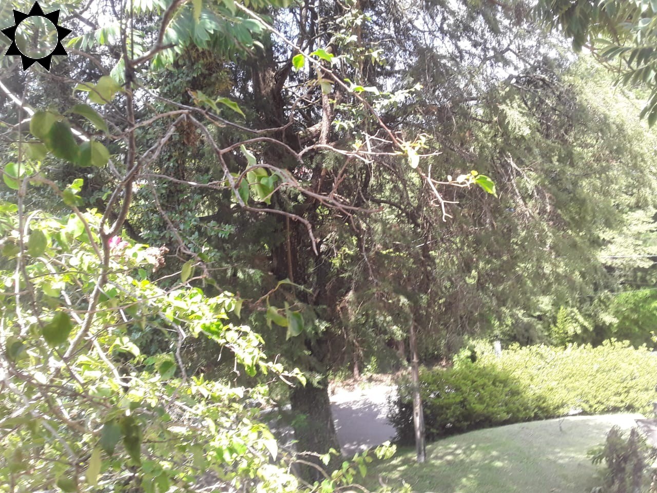 Casa, 3 quartos, 600 m² - Foto 53