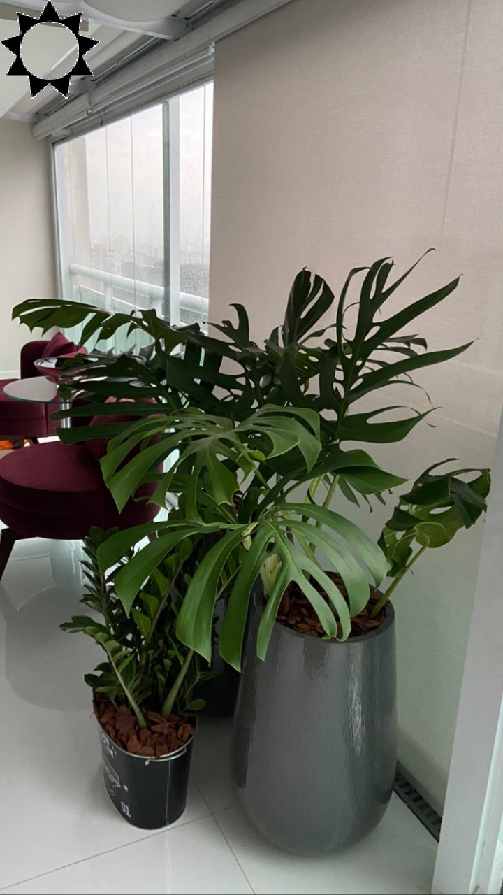 Cobertura, 3 quartos, 243 m² - Foto 6