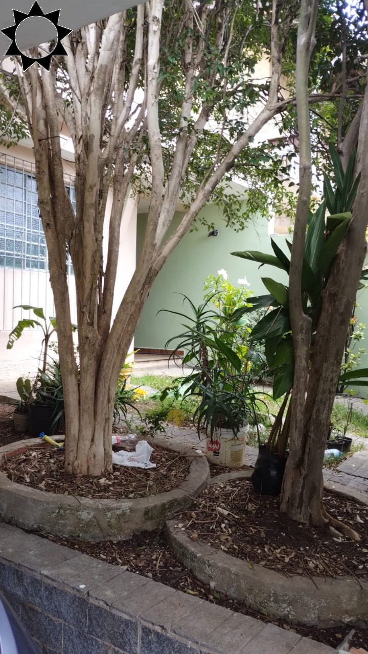 Casa, 6 quartos, 206 m² - Foto 4