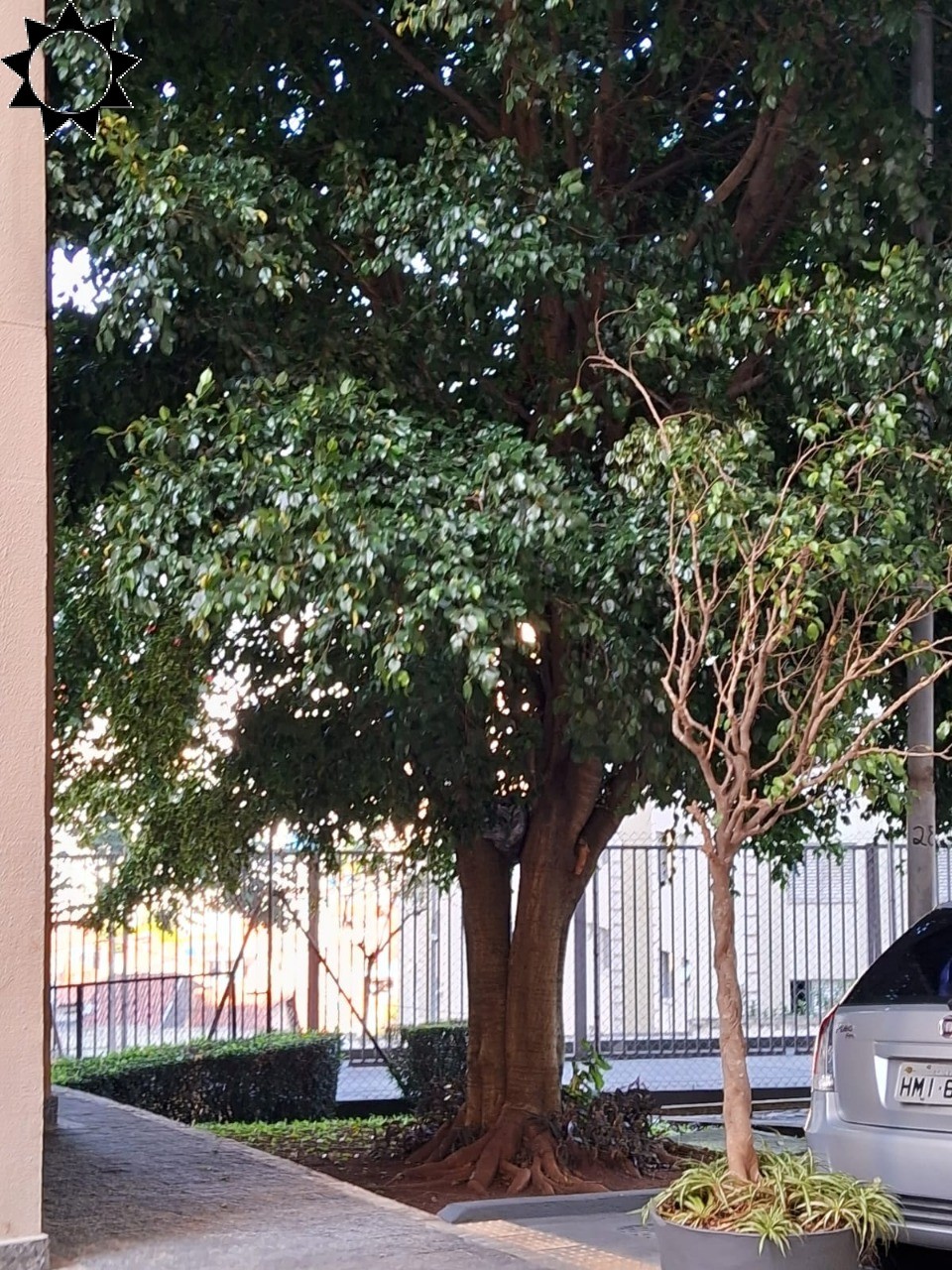 Apartamento, 2 quartos, 61 m² - Foto 22