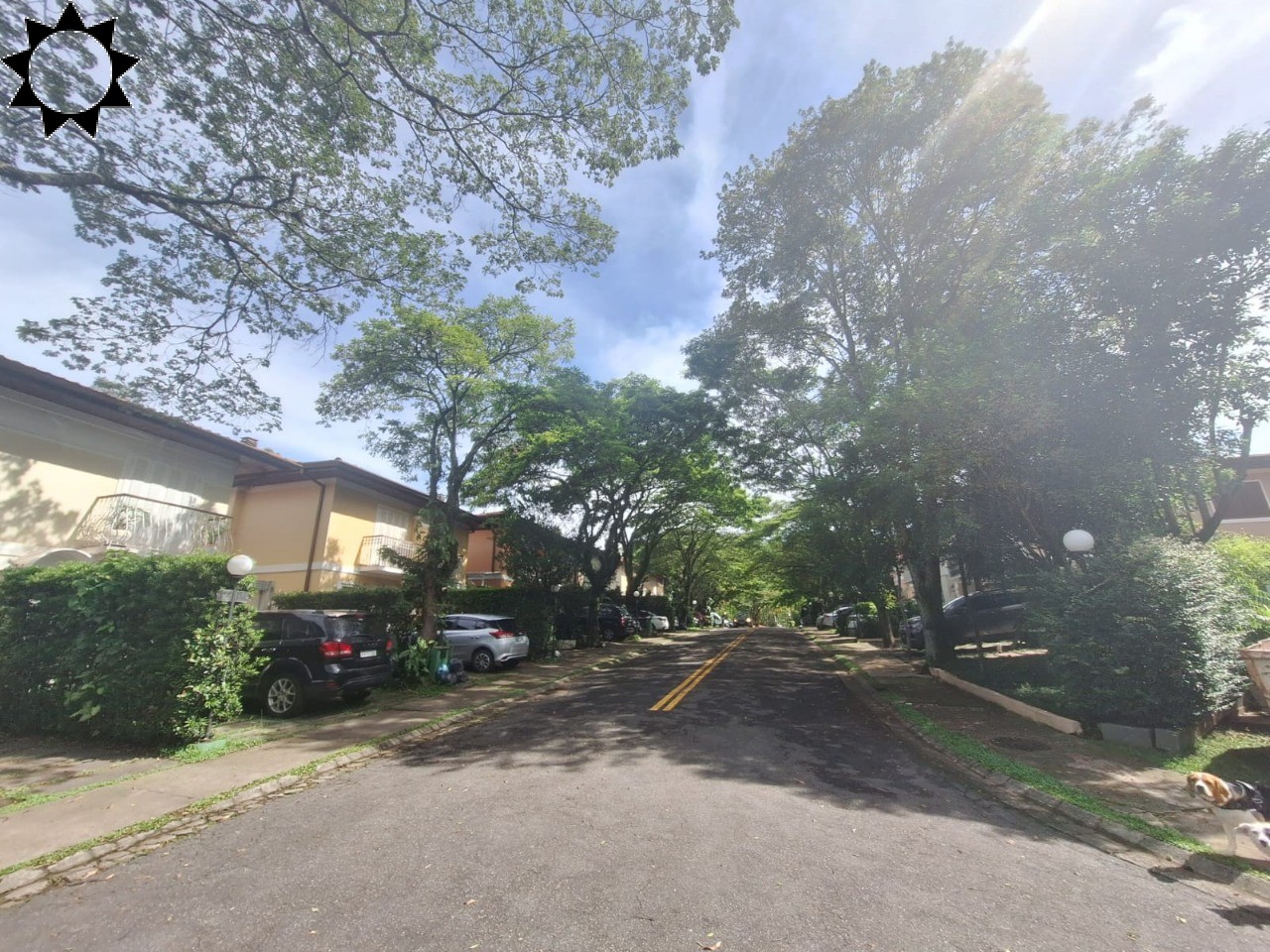 Casa, 5 quartos, 360 m² - Foto 49