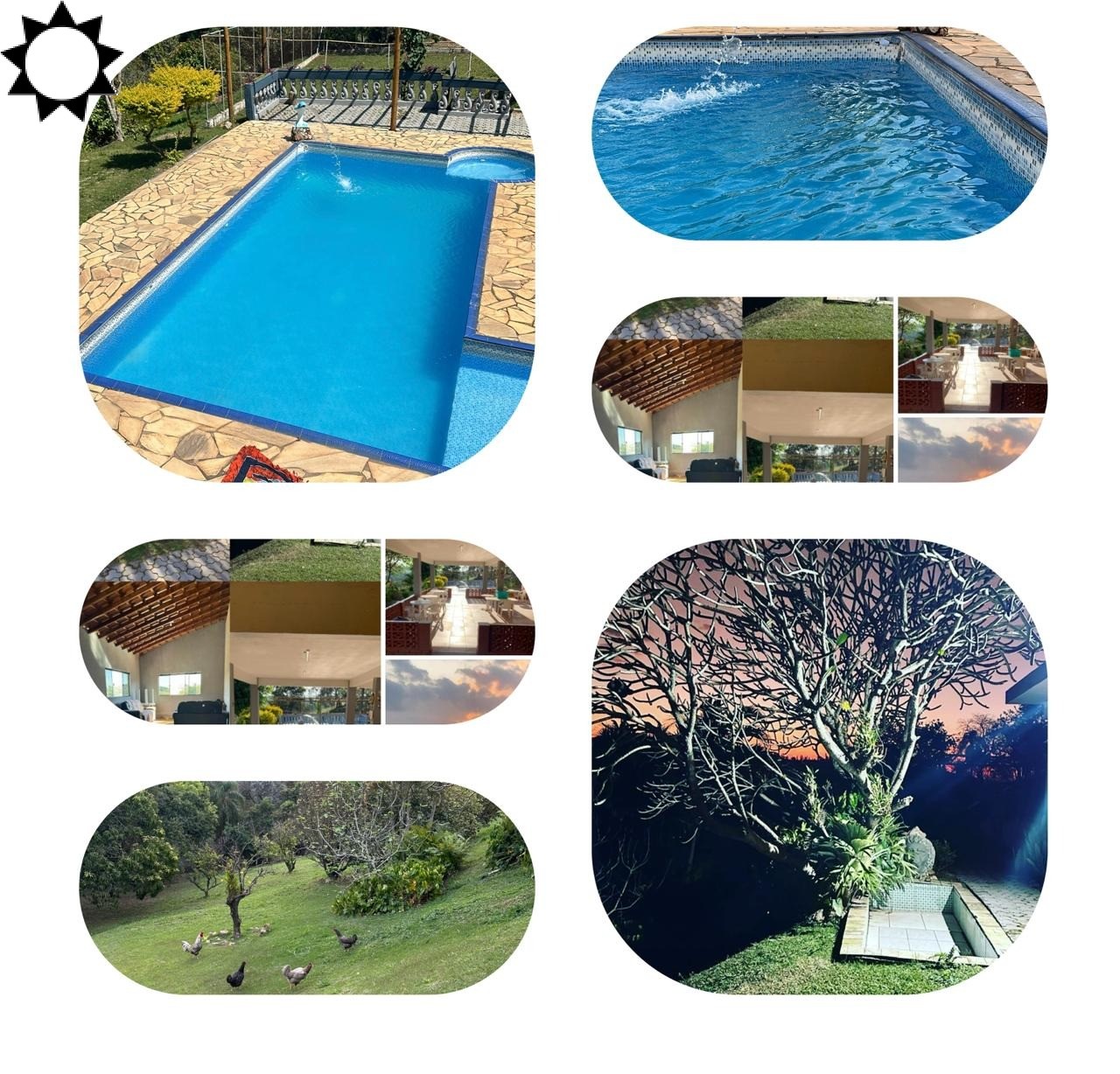 Sítio, 4 quartos, 4550 m² - Foto 12